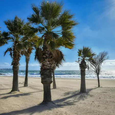 Le Mediterranee-3 By Interhome * Fréjus